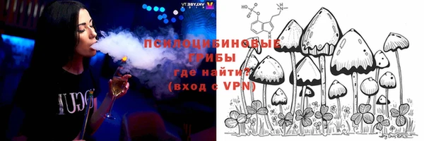 не бодяженный Бородино
