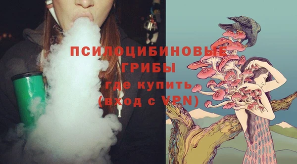 не бодяженный Бородино
